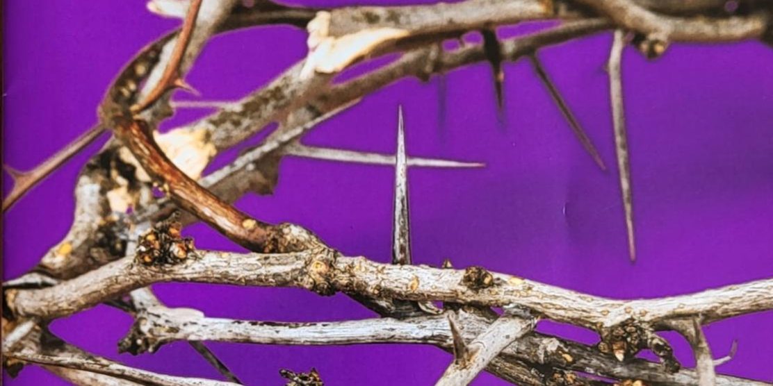 31f35326-d14f-4809-9e00-9cab88649034