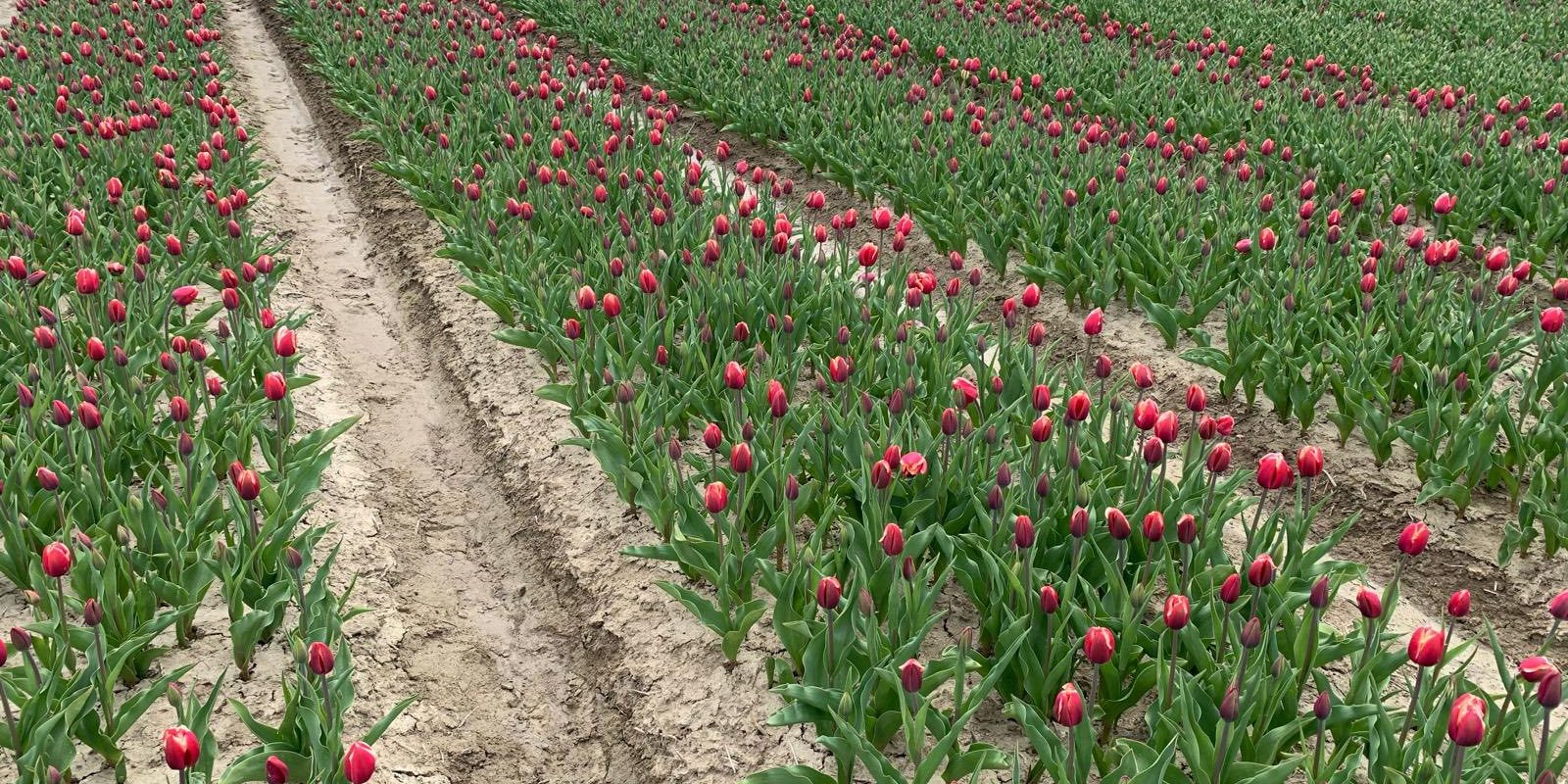 490227119_989720749955993_6562179078049509882_n