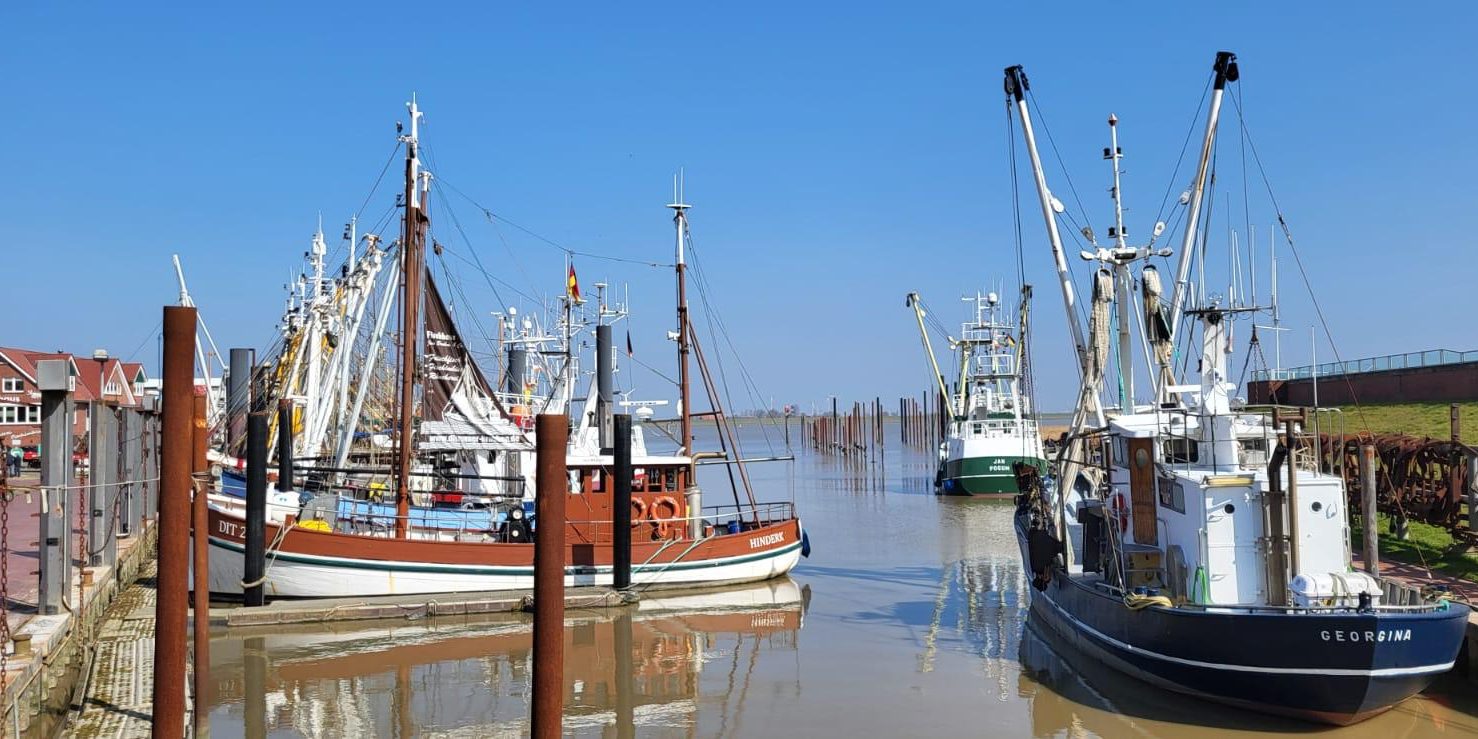 8936b602-4d3b-45d3-a07f-7d1d3e8d2445