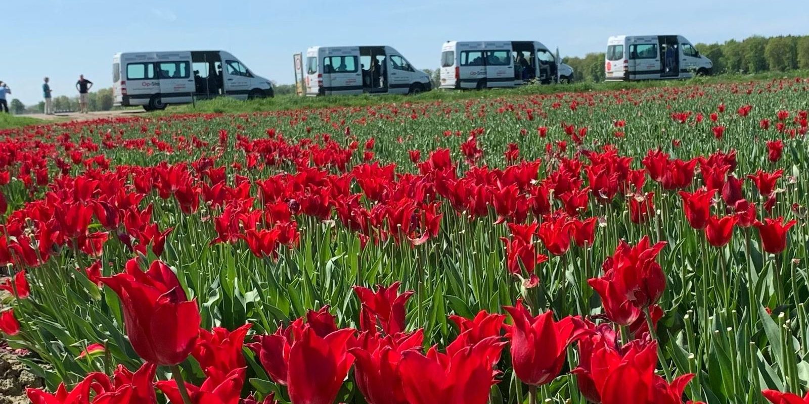 bbe305d4-e19f-4c1d-8341-358a391a9a3a