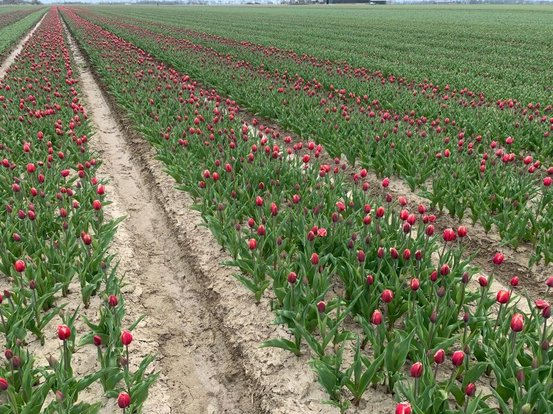 490227119_989720749955993_6562179078049509882_n