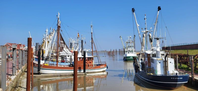 8936b602-4d3b-45d3-a07f-7d1d3e8d2445