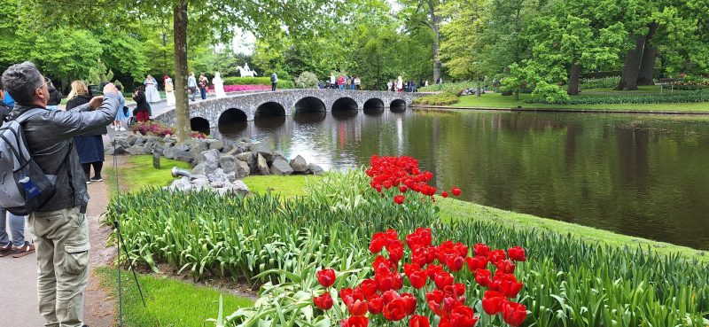 495593335_1011376787790389_4357290428820338758_n