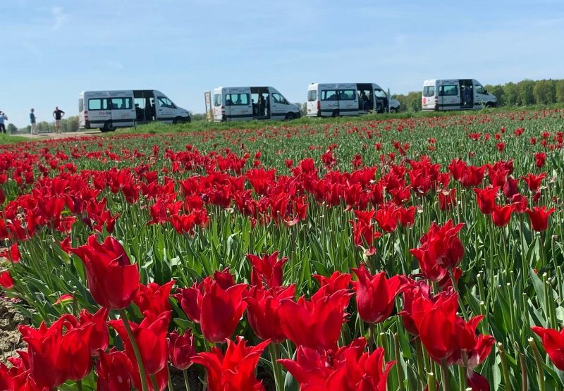 bbe305d4-e19f-4c1d-8341-358a391a9a3a